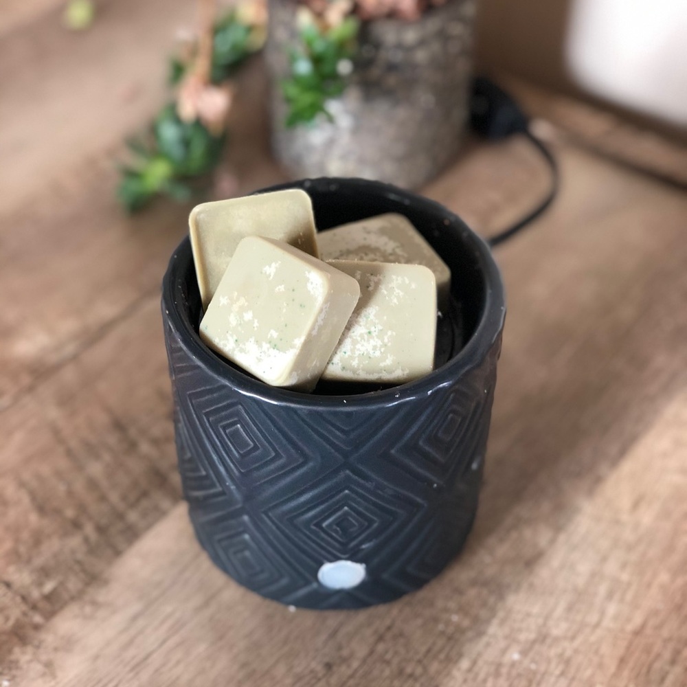 JUNIPER BREEZE WAX MELTS HANDMADE GIFT